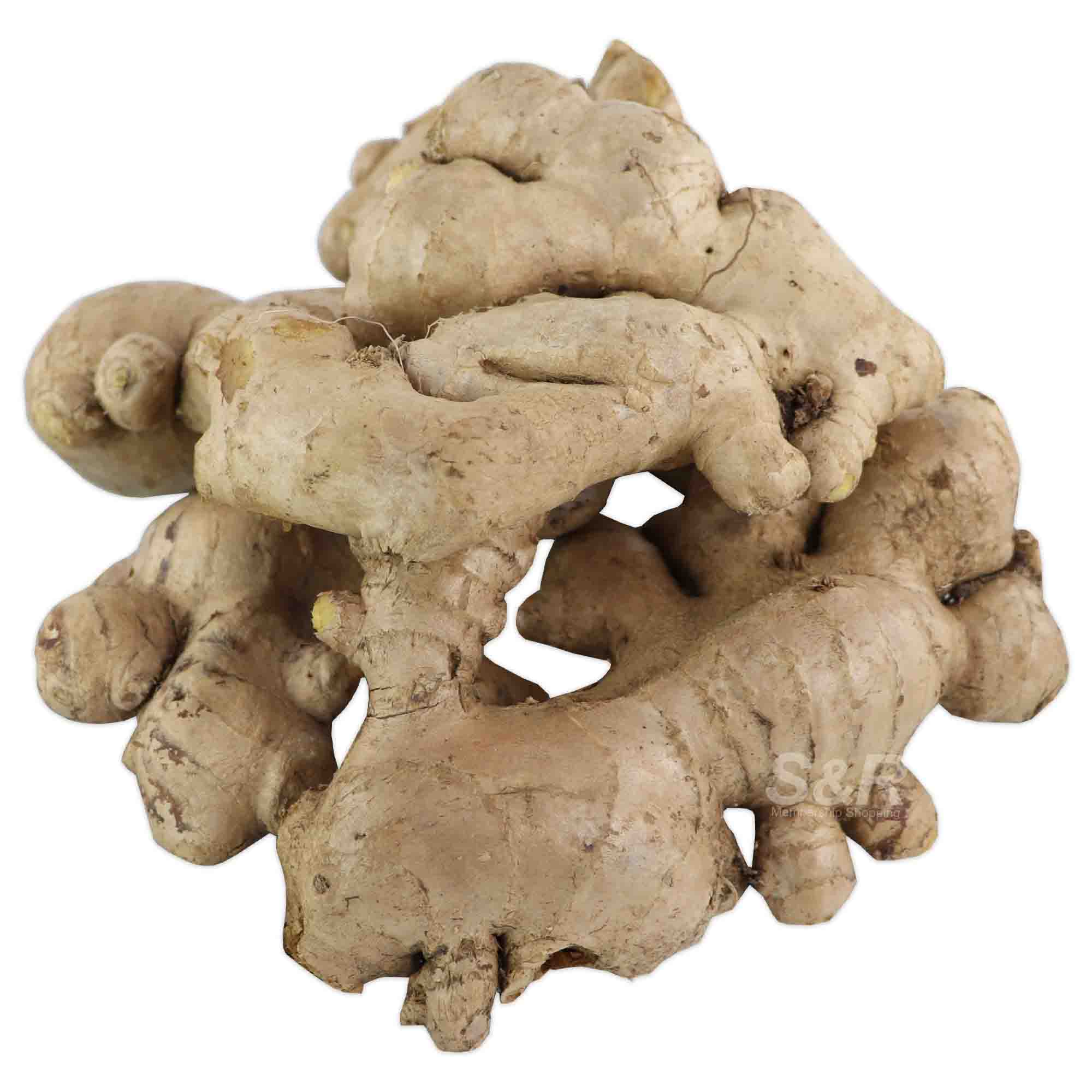 MFC Ginger approx. 1.2kg